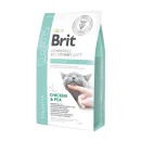 BRIT GF VETERINARY DIETS CAT STRUVITE 2KG 8595602528271