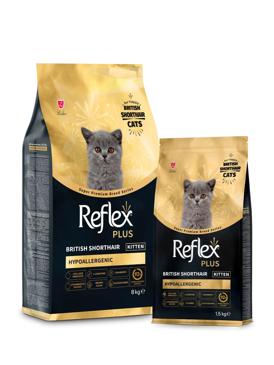 Reflex Plus British Shorthair Yavru Kedi Maması 1.5 kg