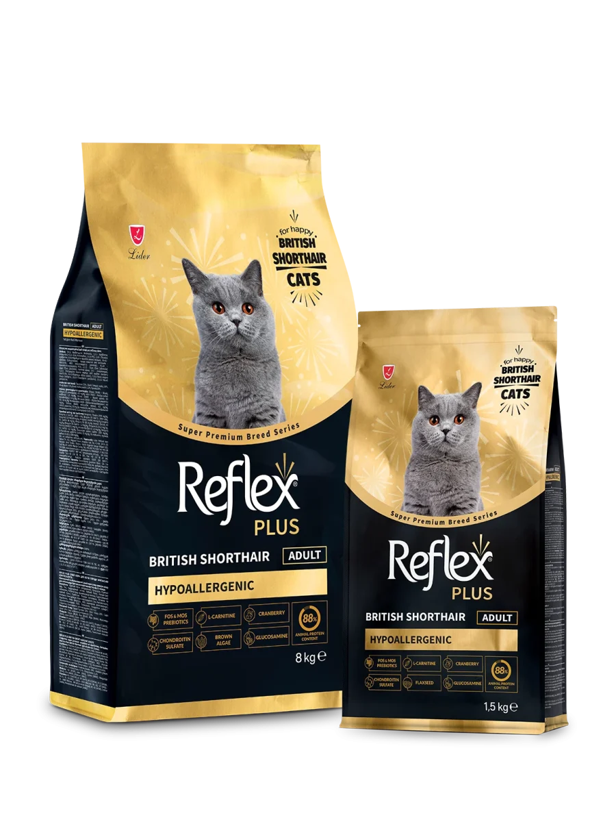 Reflex Plus British Shorthair Yetişkin Kedi Maması 1.5 kg