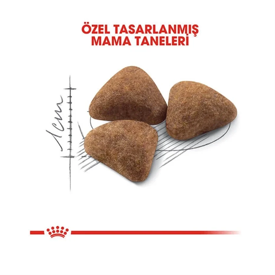 Royal Canin Indoor Sadece Evde Yaşayan Yetişkin Kuru Kedi Maması 2 Kg - Görsel 2