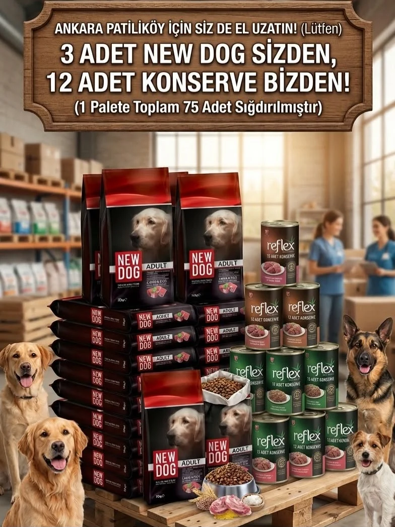 Ankara Patiliköy Mama Kampanyası Görseli - 3 Adet New Dog 12 Adet Konserve Hediye